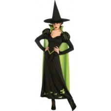 Deluxe Wicked Witch Halloween Costume