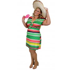 Wild Mexican Womens Plus Size Costume