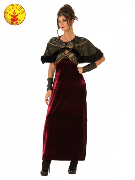 Gothic Medieval Lady Costume